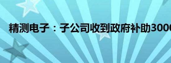 精测电子：子公司收到政府补助3000万元