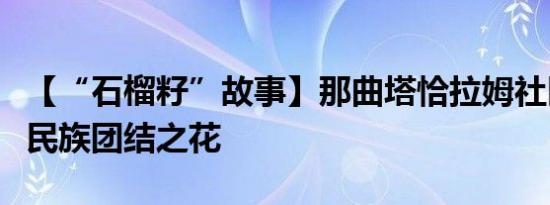 【“石榴籽”故事】那曲塔恰拉姆社区：绽放民族团结之花