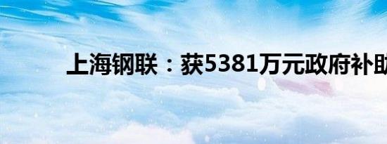 上海钢联：获5381万元政府补助