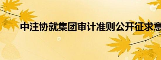 中注协就集团审计准则公开征求意见