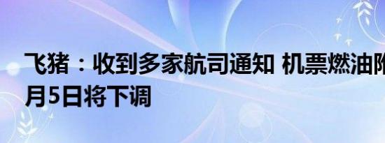 飞猪：收到多家航司通知 机票燃油附加费10月5日将下调