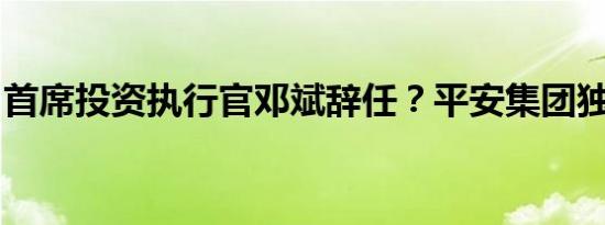 首席投资执行官邓斌辞任？平安集团独家回应