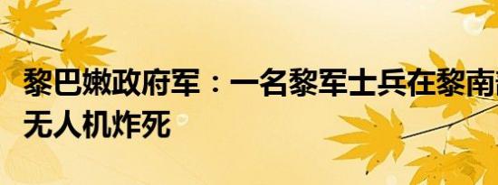 黎巴嫩政府军：一名黎军士兵在黎南部被以军无人机炸死