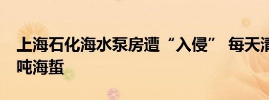 上海石化海水泵房遭“入侵” 每天清理近20吨海蜇