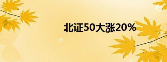 北证50大涨20%