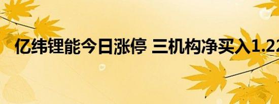 亿纬锂能今日涨停 三机构净买入1.22亿元