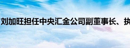 刘加旺担任中央汇金公司副董事长、执行董事