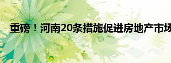 重磅！河南20条措施促进房地产市场发展