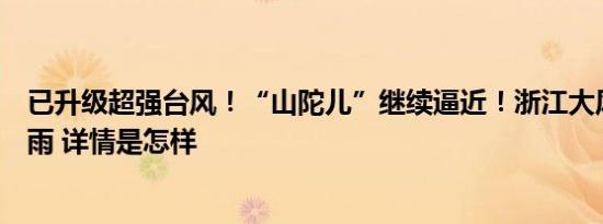 已升级超强台风！“山陀儿”继续逼近！浙江大风暴雨大暴雨 详情是怎样