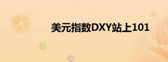 美元指数DXY站上101