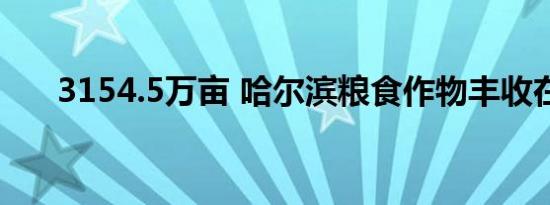 3154.5万亩 哈尔滨粮食作物丰收在望