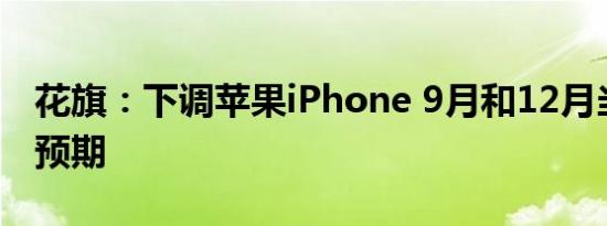 花旗：下调苹果iPhone 9月和12月当季销量预期