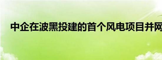 中企在波黑投建的首个风电项目并网发电