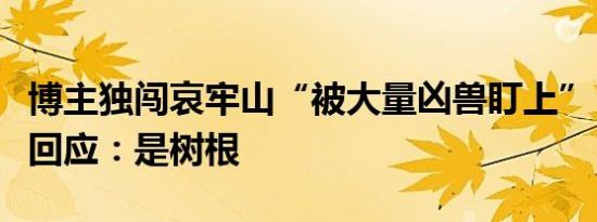 博主独闯哀牢山“被大量凶兽盯上”？当事人回应：是树根