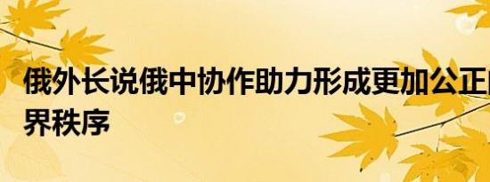 俄外长说俄中协作助力形成更加公正的多极世界秩序