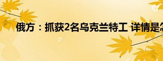 俄方：抓获2名乌克兰特工 详情是怎样