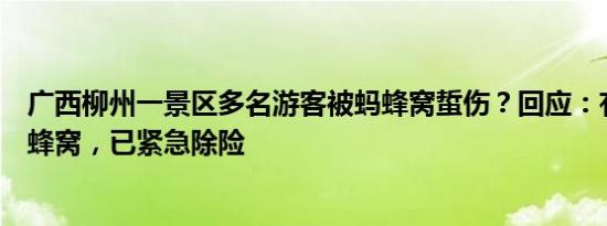 广西柳州一景区多名游客被蚂蜂窝蜇伤？回应：有人捅了马蜂窝，已紧急除险