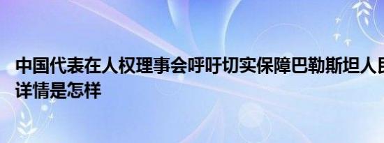 中国代表在人权理事会呼吁切实保障巴勒斯坦人民合法权益 详情是怎样