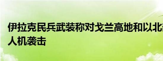 伊拉克民兵武装称对戈兰高地和以北部发动无人机袭击