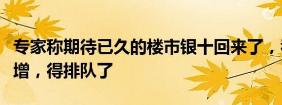 专家称期待已久的楼市银十回来了，看房人激增，得排队了