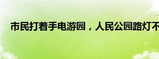 市民打着手电游园，人民公园路灯不能省