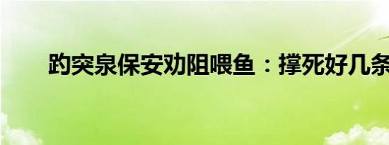 趵突泉保安劝阻喂鱼：撑死好几条了