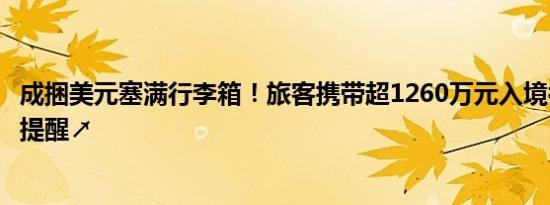 成捆美元塞满行李箱！旅客携带超1260万元入境被查，紧急提醒↗