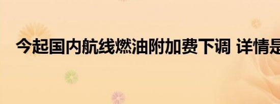 今起国内航线燃油附加费下调 详情是怎样