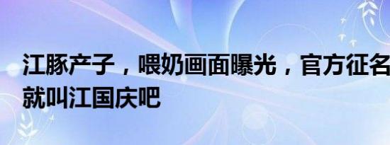 江豚产子，喂奶画面曝光，官方征名，网友：就叫江国庆吧