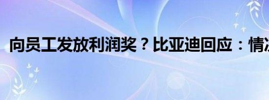 向员工发放利润奖？比亚迪回应：情况属实