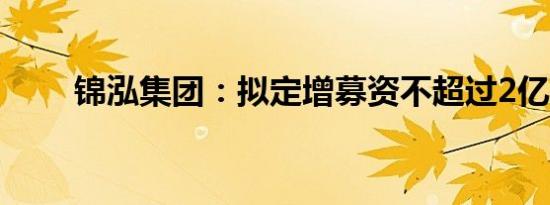 锦泓集团：拟定增募资不超过2亿元