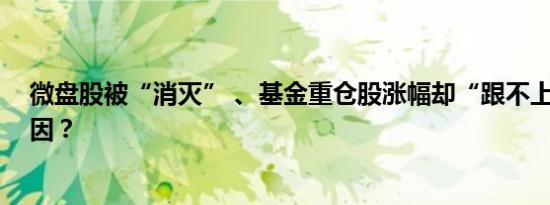 微盘股被“消灭” 、基金重仓股涨幅却“跟不上” 是何原因？