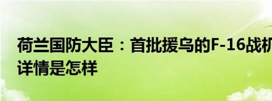 荷兰国防大臣：首批援乌的F-16战机已交付 详情是怎样