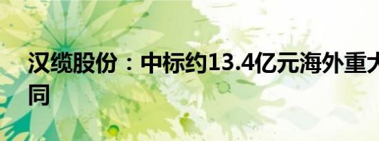 汉缆股份：中标约13.4亿元海外重大经营合同