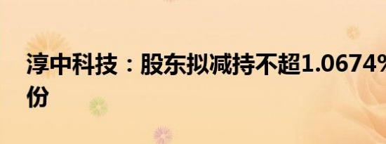 淳中科技：股东拟减持不超1.0674%公司股份