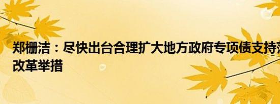 郑栅洁：尽快出台合理扩大地方政府专项债支持范围的具体改革举措