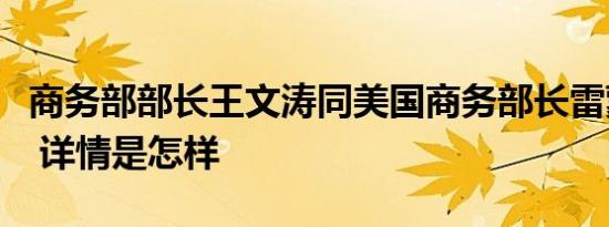 商务部部长王文涛同美国商务部长雷蒙多通话 详情是怎样