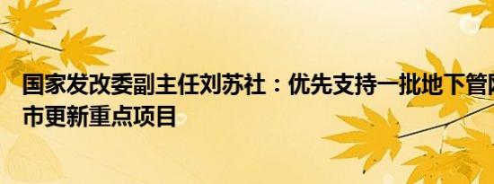 国家发改委副主任刘苏社：优先支持一批地下管网建设等城市更新重点项目