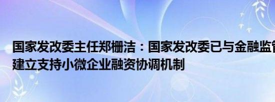 国家发改委主任郑栅洁：国家发改委已与金融监管总局牵头建立支持小微企业融资协调机制