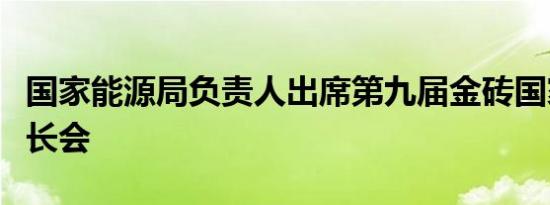 国家能源局负责人出席第九届金砖国家能源部长会