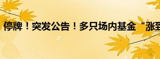 停牌！突发公告！多只场内基金“涨到停牌”