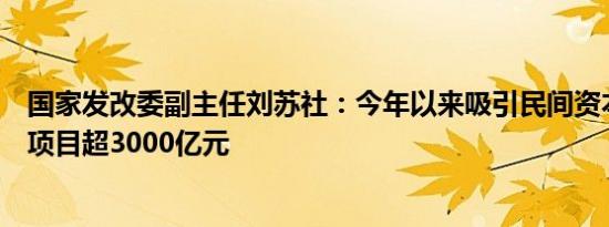 国家发改委副主任刘苏社：今年以来吸引民间资本参与重大项目超3000亿元