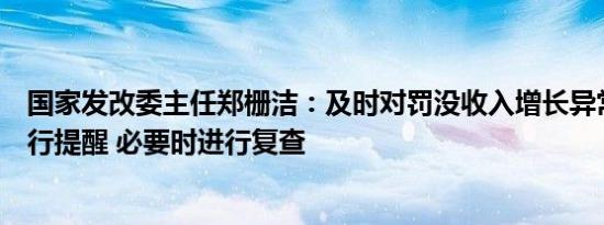 国家发改委主任郑栅洁：及时对罚没收入增长异常的地方进行提醒 必要时进行复查