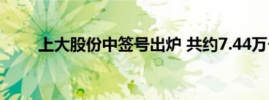 上大股份中签号出炉 共约7.44万个