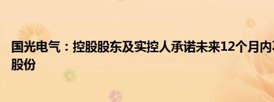 国光电气：控股股东及实控人承诺未来12个月内不减持公司股份