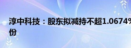 淳中科技：股东拟减持不超1.0674%公司股份