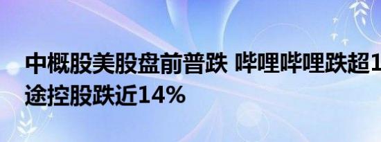 中概股美股盘前普跌 哔哩哔哩跌超15%，富途控股跌近14%