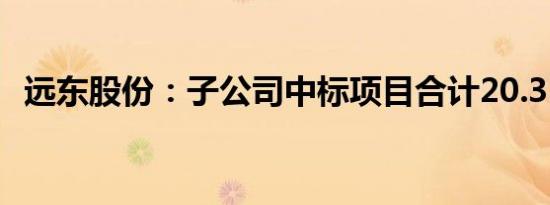 远东股份：子公司中标项目合计20.35亿元