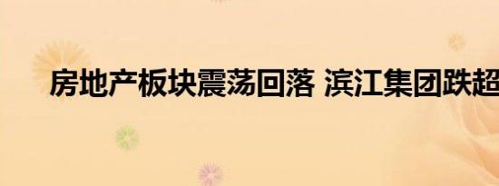 房地产板块震荡回落 滨江集团跌超5%