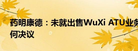 药明康德：未就出售WuXi ATU业务形成任何决议